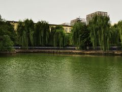 -黄村公园