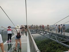 -呀诺达热带雨林