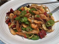 -老板恋上鱼(高新万达店)