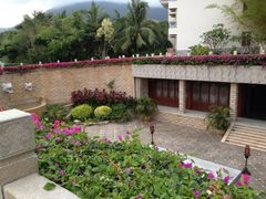 -三亚亚龙湾凯莱仙人掌度假酒店