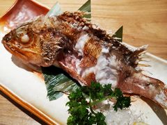 烤石斑鱼-九州酒场ひこぞう(2号店)