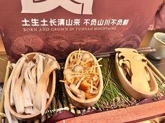 -季季山·云南野生菌火锅(上海首店)