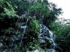 -少华山国家森林公园