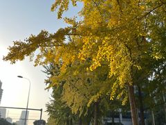 -国家会展中心