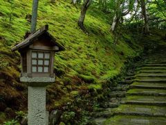 -常寂光寺