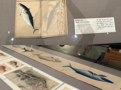 -东京国立博物馆
