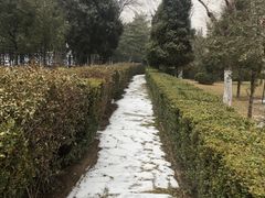 -黄村公园