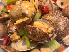 辣炒花蛤-华府九号海鲜烧烤大排档(龙域店)
