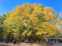 圆山公园正门-北海道神宫