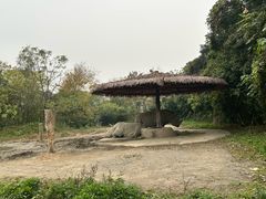 -宁波野生动物园
