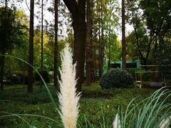 -徐家汇源景区-衡山公园