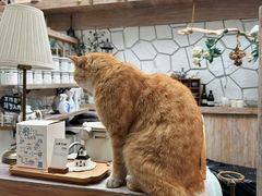 -Vanillacafe香草咖啡(银海大世界店)