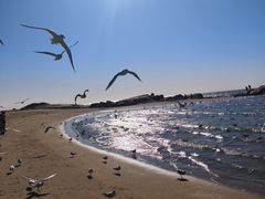 -老虎石海上公园