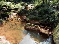-赤水丹霞旅游区·佛光岩