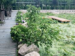 -洪湖家庭农场·团建·露营·会议