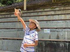 -千岛湖城中湖游船码头