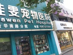 -佳雯宠物医院(金华南路分院)
