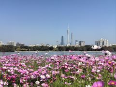 -海珠湖公园