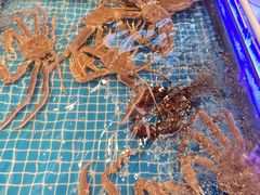 -宋园·金宴浙鲜馆(静安店)