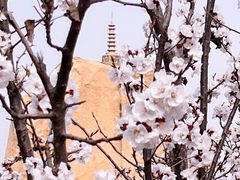 -北京凤凰岭