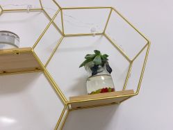 -凡碧诗毛孔收细
