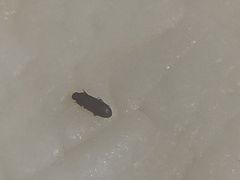 -物美超市(乔司华荣城店)