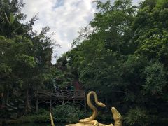 -海口火山口国家地质公园