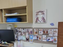 -美联众合动物医院·24h京西诊疗中心
