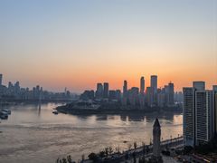 -李子坝梁山鸡(李子坝大鸡哥店)