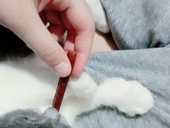 -宠颐生汉谟拉比宠物医院