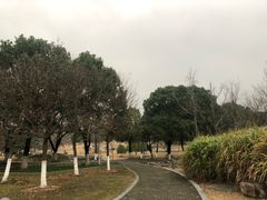 -白塘生态植物园