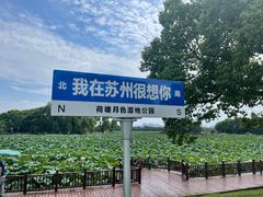-荷塘月色湿地公园·向阳花洲