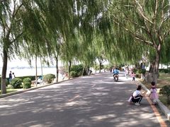 -丁香湖公园