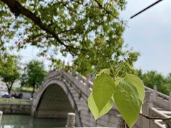 -西园戒幢律寺