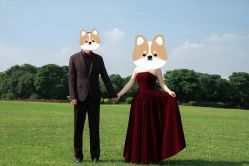 -莫兰迪婚纱摄影