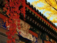 -大明幻境第一城