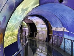 -房山世界地质公园博物馆