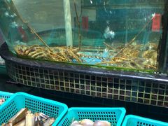 水产区-海大大蒸汽海鲜餐厅·粤菜·特色小炒(欢乐颂店)