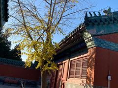 -历代帝王庙博物馆