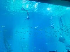 -渡海小渔村.老辈日照菜