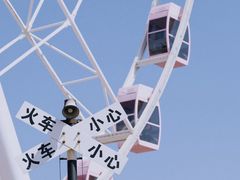 -顾村公园