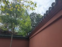 -观潮胜地公园