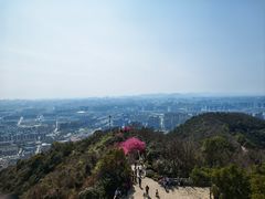 -杭州半山国家森林公园