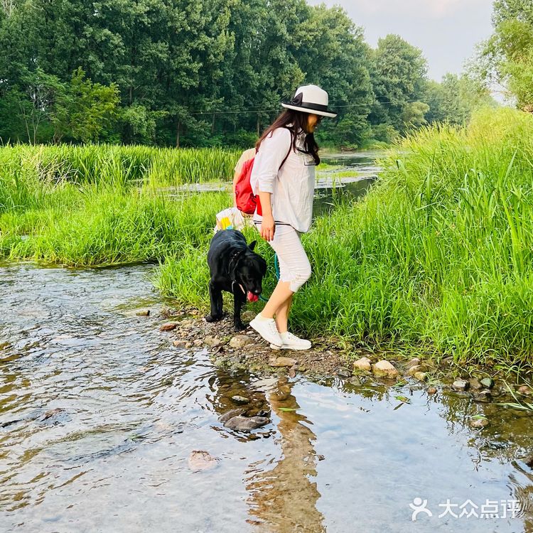 露营🏕️烧烤，遛娃好去处