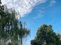 -玄武湖景区-情侣园游乐场