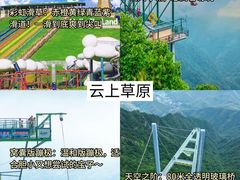 -阿露佳·舌尖上的安吉菜