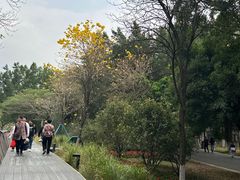 -海珠湖公园