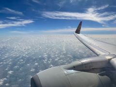 -海南海航航空信息系统公司