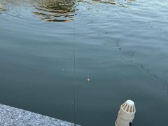 -DGE季风钓虾营地·团建·聚会