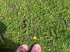 -五家山森林公园滑雪场